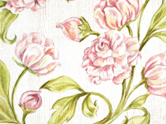 Peonies